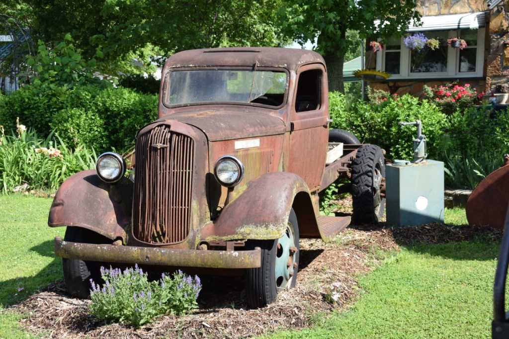 DSC_0300Mittel_.JPG